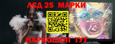 индика Ярославль