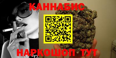 индика Ярославль