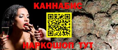 индика Ярославль