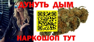 индика Ярославль