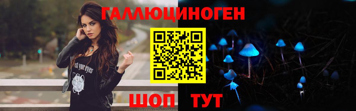 Псилоцибиновые грибы Psilocybine cubensis  Вход с VPN  Советск  Псилоцибиновые грибы MAGIC MUSHROOMS 